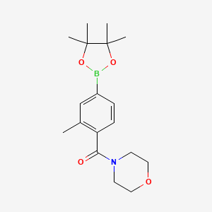 molecular formula C18H26BNO4 B1397847 [2-Methyl-4-(4,4,5,5-tetramethyl-[1,3,2]dioxaborolan-2-yl)phenyl]-morpholin-4-yl-methanone CAS No. 1013643-15-6