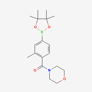 molecular formula C18H26BNO4 B1397847 (2-Methyl-4-(4,4,5,5-tetramethyl-1,3,2-dioxaborolan-2-yl)phenyl)(morpholino)methanone CAS No. 1013643-15-6