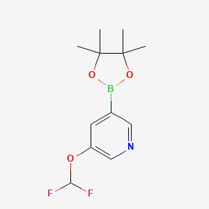 molecular formula C12H16BF2NO3 B1397955 3-(Difluoromethoxy)-5-(4,4,5,5-tetramethyl-1,3,2-dioxaborolan-2-yl)pyridine CAS No. 1257554-65-6