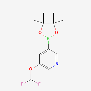 B1397955 3-(Difluoromethoxy)-5-(4,4,5,5-tetramethyl-1,3,2-dioxaborolan-2-yl)pyridine CAS No. 1257554-65-6