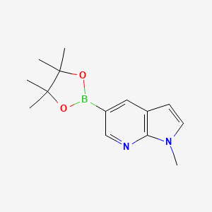 molecular formula C14H19BN2O2 B1397962 1-Methyl-5-(4,4,5,5-tetramethyl-1,3,2-dioxaborolan-2-YL)-1H-pyrrolo[2,3-B]pyridine CAS No. 1220696-34-3