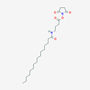 molecular formula C24H42N2O5 B13979724 N-{4-[(2,5-Dioxopyrrolidin-1-yl)oxy]-4-oxobutyl}hexadecanamide CAS No. 240133-34-0