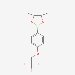 4,4,5,5-Tetramethyl-2-(4-(2,2,2-trifluoroethoxy)phenyl)-1,3,2-dioxaborolane