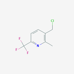 molecular formula C8H7ClF3N B1398051 3-(Chloromethyl)-2-methyl-6-(trifluoromethyl)pyridine CAS No. 917396-29-3