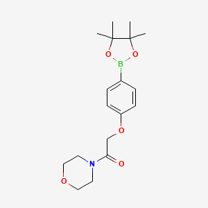 molecular formula C18H26BNO5 B1398093 吗啉，4-[[4-(4,4,5,5-四甲基-1,3,2-二氧杂硼烷-2-基)苯氧基]乙酰基]- CAS No. 656257-49-7