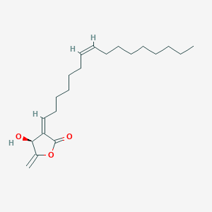 molecular formula C21H34O3 B13981264 (S)-4,5-dihydro-3-[(1z,7z)-hexadecan-7-enylidene]-4-hydroxy-5-methylenefuran-2(3h)-one 