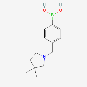 molecular formula C13H20BNO2 B13981763 (4-((3,3-Dimethylpyrrolidin-1-yl)methyl)phenyl)boronic acid 