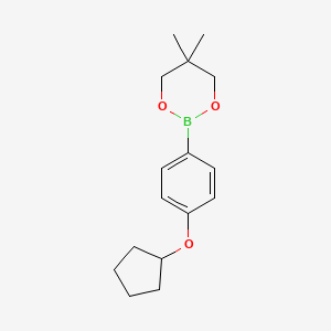 molecular formula C16H23BO3 B13981771 2-[4-(Cyclopentyloxy)phenyl]-5,5-dimethyl-1,3,2-dioxaborinane CAS No. 1310949-93-9