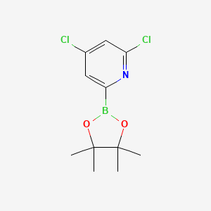molecular formula C11H14BCl2NO2 B13982222 2,4-Dichloro-6-(4,4,5,5-tetramethyl-1,3,2-dioxaborolan-2-YL)pyridine CAS No. 1622216-99-2