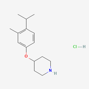 molecular formula C15H24ClNO B1398242 4-(4-Isopropyl-3-methylphenoxy)piperidine hydrochloride CAS No. 1219982-80-5