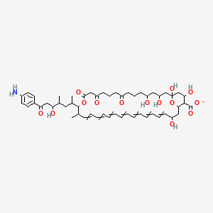 molecular formula C53H72NO14- B13982613 17-[7-(4-Aminophenyl)-5-hydroxy-4-methyl-7-oxoheptan-2-yl]-1,3,5,33,37-pentahydroxy-18-methyl-9,13,15-trioxo-16,39-dioxabicyclo[33.3.1]nonatriaconta-19,21,23,25,27,29,31-heptaene-36-carboxylate 