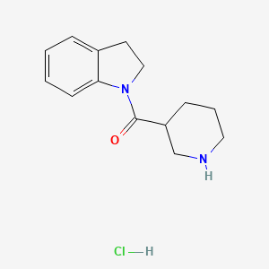 2,3-Dihydro-1H-indol-1-yl(3-piperidinyl)methanone hydrochloride