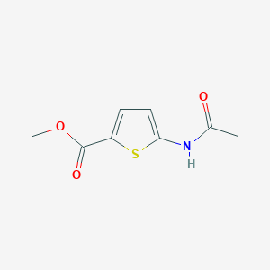 molecular formula C8H9NO3S B13982861 Methyl 5-acetamidothiophene-2-carboxylate CAS No. 14597-60-5