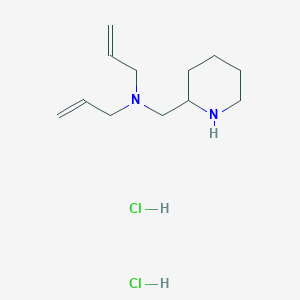 molecular formula C12H23ClN2 B1398307 n-Allyl-n-(2-piperidinylmethyl)-2-propen-1-amine dihydrochloride CAS No. 1219964-28-9