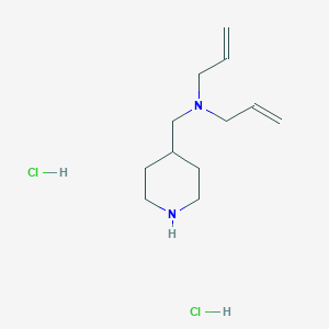 molecular formula C12H24Cl2N2 B1398331 n-Allyl-n-(4-piperidinylmethyl)-2-propen-1-amine dihydrochloride CAS No. 1220016-89-6