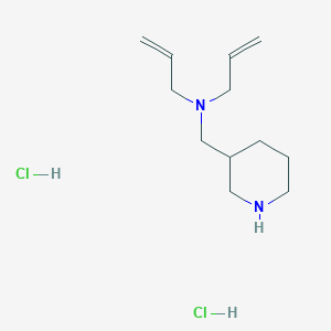 molecular formula C12H24Cl2N2 B1398343 n-Allyl-n-(3-piperidinylmethyl)-2-propen-1-amine dihydrochloride CAS No. 1220034-31-0