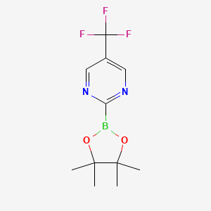 molecular formula C11H14BF3N2O2 B13983435 2-(4,4,5,5-tetramethyl-1,3,2-dioxaborolan-2-yl)-5-(trifluoromethyl)pyrimidine 