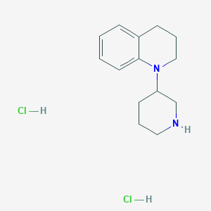 molecular formula C14H22Cl2N2 B1398344 1-(3-Piperidinyl)-1,2,3,4-tetrahydroquinoline dihydrochloride CAS No. 1219979-57-3