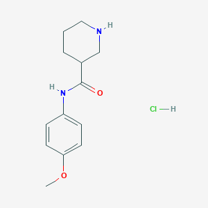 molecular formula C13H19ClN2O2 B1398364 N-(4-Methoxyphenyl)-3-piperidinecarboxamide hydrochloride CAS No. 599184-29-9