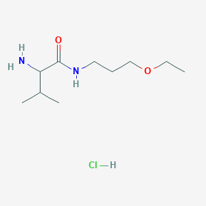 molecular formula C10H23ClN2O2 B1398393 2-氨基-N-(3-乙氧基丙基)-3-甲基丁酰胺盐酸盐 CAS No. 1236261-80-5