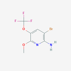 molecular formula C7H6BrF3N2O2 B13984103 3-Bromo-6-methoxy-5-(trifluoromethoxy)pyridin-2-amine 