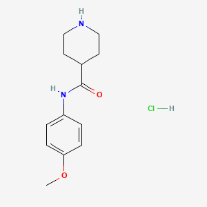 molecular formula C13H19ClN2O2 B1398457 N-(4-methoxyphenyl)piperidine-4-carboxamide hydrochloride CAS No. 1186049-52-4