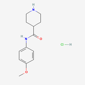 molecular formula C13H19ClN2O2 B1398457 盐酸 N-(4-甲氧基苯基)-4-哌啶甲酰胺 CAS No. 1186049-52-4