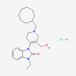 molecular formula C24H36ClN3O2 B1398525 Trap-101 hydrochloride CAS No. 873567-76-1