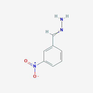 molecular formula C7H7N3O2 B13985789 [(3-Nitrophenyl)methylidene]hydrazine CAS No. 3718-22-7