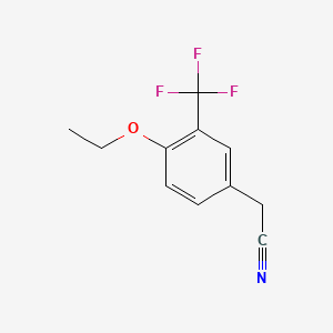 molecular formula C11H10F3NO B1398593 4-乙氧基-3-(三氟甲基)苯乙腈 CAS No. 1206593-35-2