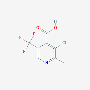 molecular formula C8H5ClF3NO2 B1398598 3-氯-2-甲基-5-(三氟甲基)异烟酸 CAS No. 1369138-62-4