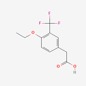 molecular formula C11H11F3O3 B1398616 4-Ethoxy-3-(trifluoromethyl)phenylacetic acid CAS No. 1206593-28-3