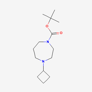 Tert-butyl 4-cyclobutyl-1,4-diazepane-1-carboxylate