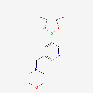 molecular formula C16H25BN2O3 B1398730 4-((5-(4,4,5,5-Tetramethyl-1,3,2-dioxaborolan-2-yl)pyridin-3-yl)methyl)morpholine CAS No. 919347-16-3
