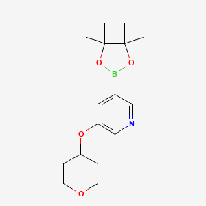 molecular formula C16H24BNO4 B1398750 5-(tetrahydro-2H-pyran-4-yloxy)pyridine-3-boronic acid pinacol ester CAS No. 1105663-72-6