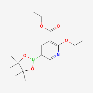 molecular formula C17H26BNO5 B13987710 Ethyl 2-isopropoxy-5-(4,4,5,5-tetramethyl-1,3,2-dioxaborolan-2-yl)nicotinate 