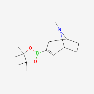 molecular formula C14H24BNO2 B1398796 8-Methyl-3-(4,4,5,5-tetramethyl-1,3,2-dioxaborolan-2-yl)-8-azabicyclo[3.2.1]oct-2-ene CAS No. 1779539-89-7