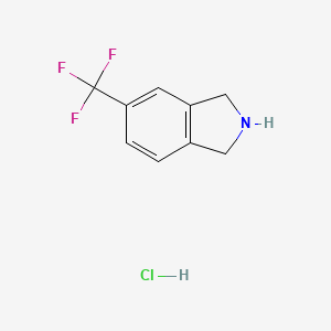 molecular formula C9H9ClF3N B1398828 5-(Trifluoromethyl)isoindoline hydrochloride CAS No. 924304-74-5