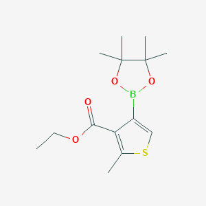 molecular formula C14H21BO4S B13989180 Ethyl 2-methyl-4-(4,4,5,5-tetramethyl-1,3,2-dioxaborolan-2-yl)thiophene-3-carboxylate 
