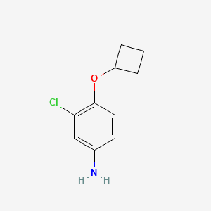 3-Chloro-4-cyclobutoxyaniline