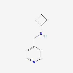 molecular formula C10H14N2 B1399028 N-[(pyridin-4-yl)methyl]cyclobutanamine CAS No. 1250712-39-0