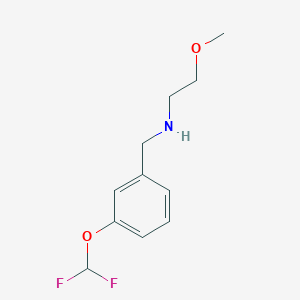 {[3-(Difluoromethoxy)phenyl]methyl}(2-methoxyethyl)amine