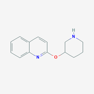 molecular formula C14H16N2O B1399041 2-(Piperidin-3-yloxy)-quinoline CAS No. 1456266-68-4