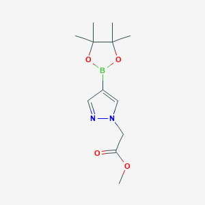 molecular formula C12H19BN2O4 B1399073 Methyl 4-(4,4,5,5-tetramethyl-1,3,2-dioxaborolan-2-yl)-1H-pyrazole-1-acetate CAS No. 959585-44-5