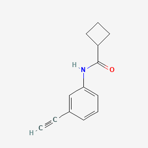molecular formula C13H13NO B1399167 N-(3-乙炔基苯基)环丁烷甲酰胺 CAS No. 1248272-20-9