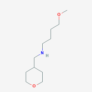 molecular formula C11H23NO2 B1399560 (4-Methoxybutyl)[(oxan-4-yl)methyl]amine CAS No. 1247151-61-6