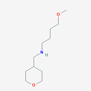 B1399560 (4-Methoxybutyl)[(oxan-4-yl)methyl]amine CAS No. 1247151-61-6