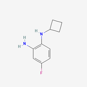 molecular formula C10H13FN2 B1399593 N1-cyclobutyl-4-fluorobenzene-1,2-diamine CAS No. 1249156-84-0