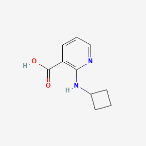 molecular formula C10H12N2O2 B1399600 2-(Cyclobutylamino)nicotinic acid CAS No. 1343611-34-6