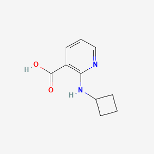2-(Cyclobutylamino)nicotinic acid